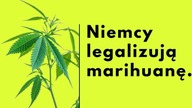 NIEMCY ZALEGALIZUJĄ MARIHUNAEN.  NA STOLE JEST 4,7 MILIARDA EURO
