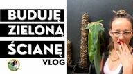 ZIELONA ŚCIANA - wertykalny, pionowy ogród w domu