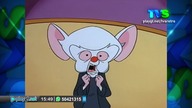 TVS Retro Pinky i M&oacute;zg