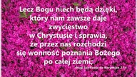 Audycja Wyzwolony - Kelly Stigliano