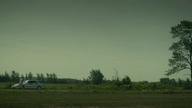 Lavender. 2016.pl
