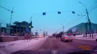 Nieoczekiwany gość na drodze