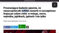 BADANIE WYKAZUJE, ŻE NANOCZĄSTECZKI mRNA krążą po ciele, m&oacute;zgu, sercu, wątrobie, jajnikach, j