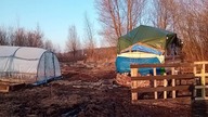 Postęp prac na siedlisku, płot, skrzynia, podstawy wolier, dzieje się 