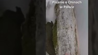 Opowiadanie o Chinach w Polsce