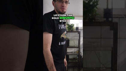Ponad 200 akwariów?! Liczymy hodowlę 