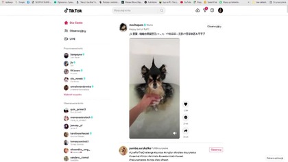 DUŻO RADOŚĆ I CRINGEU, ŻYCZY TIKTOK