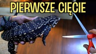 OBCINAM PAZNOKCIE CARLOSOWI 