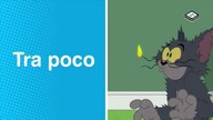 BOOMERANG IT - 06-06-2023 - Promos, Bumpers, Restart (Bumper in loop)