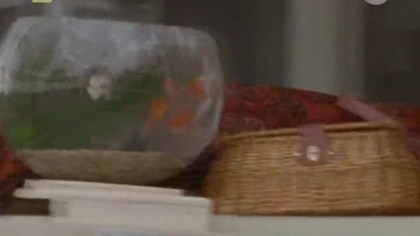 Akademia Policyjna S01E19 Oczywiście, że koń