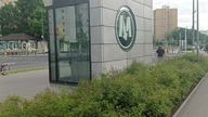 ADWOKACI W AKCJI ODCINEK 253 NA BRÓDNO