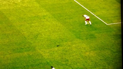 Polska 1 3 Ukraina - Kamil Glik