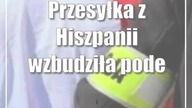 Przesyłka z Hiszpanii wzbudziła podejrzenia.  Miała trafić do Puław