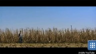 To Jest Kino: Looper. Kawał świetnego science fiction. Lepszy od Skyfall!