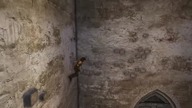 Prince of Persia The Forgotten Sands PC 2016 09 10 11 29 48