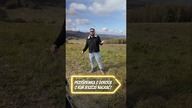 Przyśpiewka o Dorocie, o kim jeszcze nagrać? #przyspiewki #przyspiewka