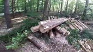 Sąsiedzka pomoc || Nieplanowany VLOG || Okiem ZULa