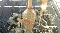 Slow motion: Blowing up a Mentos Coke bottle: GoPro Hero 3+