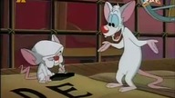 Pinky i Mozg S01E07 - Napoleon M&oacute;zgoparte