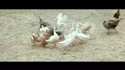 Zabij. albo. zgiń. 1966 . lektor.  pl