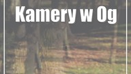 Kamery w Ogrodzie Saskim wymienią za 160 tysięcy