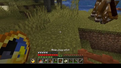 So that my horse and saddle dont run away #minecraft #gaming #game #Short #Shorts
