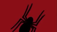 History of Spider-Man Logo