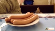 Funny Cats Compilation