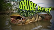 To prawdziwe zlecenie dla grubych graczy na giełdzie!