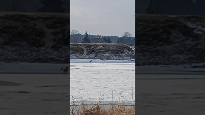 straszny widok, wielka ulga