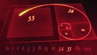 Fibonacci Sequence in Nature