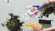 O czym musimy pamiętać, gdy wysiewamy nasiona? Najważniejsze zasady wysiewania nasion warzyw i ziół.