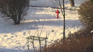 Bieda w policji? To idą do MOPSu 