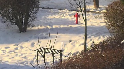 Bieda w policji? To idą do MOPSu 