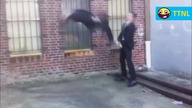 Epic Faceplant Compilation || TTNL