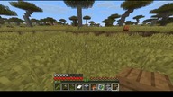 Little pig #game #minecraft #gaming #Short #Shorts
