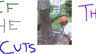 Hipnotyzująca piosenka o kokosie