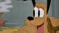 Pluto - Rabuś spiżarnialny