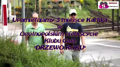 Upamiętniają 3 Miejsce Karlika
