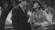 Grona gniewu (1940) Lektor pl