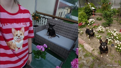 Urządzam balkon na sezon wiosenny i letni