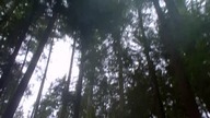 reka S03E02 - What About Bob.pl