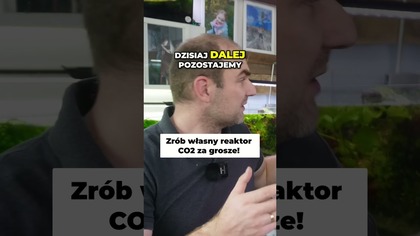 Domowy reaktor CO2  prosty i tani!  #akwarium