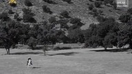 Rio Grande 1938 lektor pl western