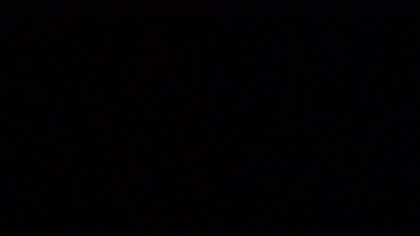 12H Black Screen &mdash; Leśne Ptaki &bull; Spokojne Dźwięki Natury do Snu i Relaksu