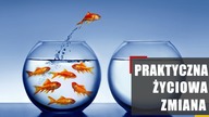 Najbardziej Praktyczna Życiowa Zmiana