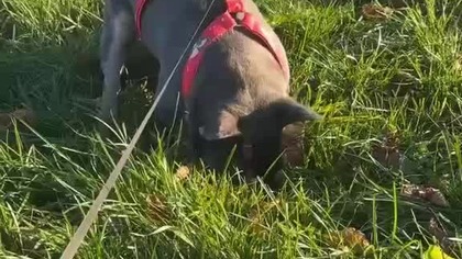 f05d1a3c-9dca-43c1-8ed3-ae5972e3b1d1