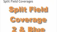 2-10 Spli Field Cover 2 & Blue