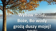 Audycja Wyzwolony - Bette Hammang