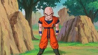 DB Kai 079